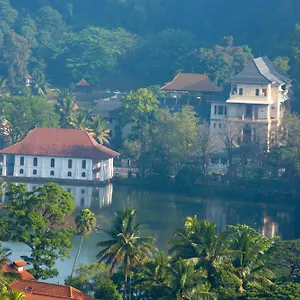 https://mcleod-inn.negombohotels.net